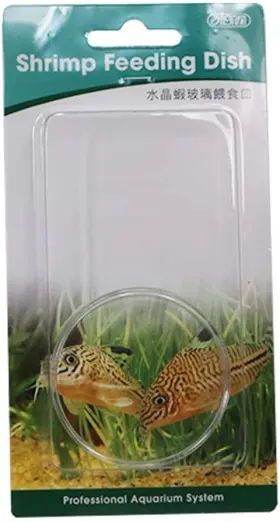 Corisrx If724 Ista Clear Glass Dish Tray Bowl Shrimp Snail Fish Feeder Food Feeding Corisrx If724 Ista Clear Glass Dish Tray Bowl Shrimp Snail Fish Feeder Food Feeding