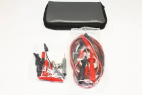 Fluke / Philips Pm-9266 / Test Leads And Pin Set Pm 9266/041 9447 092 66041 4842 Fluke / Philips Pm-9266 / Test Leads And Pin Set Pm 9266/041 9447 092 66041 4842
