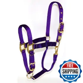 Hamilton B000a6tuqe Deluxe Horse Halter 1 Inch Triple Ply Nylon Adjustable Chin Strap Easy O