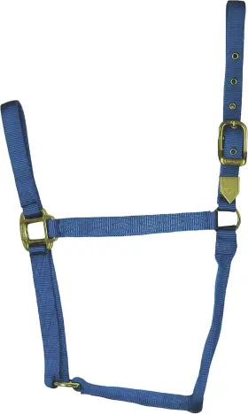 Hamilton B000a6uj8c Deluxe Horse Halter 1 Inch Triple Ply Nylon Average Arabian Or Ye