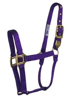 Hamilton B000a6y6hm Deluxe Horse Halter 1 Inch Triple Ply Nylon Average Arabian Or Ye