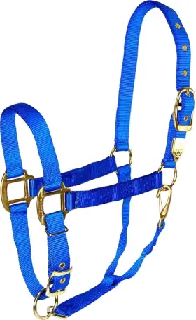 Hamilton B000a6zmj8 Deluxe Horse Halter 1 Inch Triple Ply Nylon Adjustable Chin Strap Easy O
