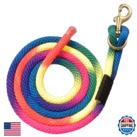 Tough 1 B0067qlfxc Nylon Rainbow Lead With Replaceable Bolt Snap - Ombre Multicolor