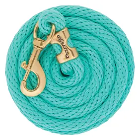 Weaver Leather B01ncuvfxz Poly Lead Rope Mint 5/8 Inch X 10ft Durable Horse Training Weaver Leather B01ncuvfxz Poly Lead Rope Mint 5/8 Inch X 10ft Durable Horse Training